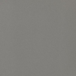 Granito 1 Evo chicago | Ceramic tiles | Casalgrande Padana