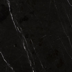 Royal Black | Natural stone panels | LEVANTINA