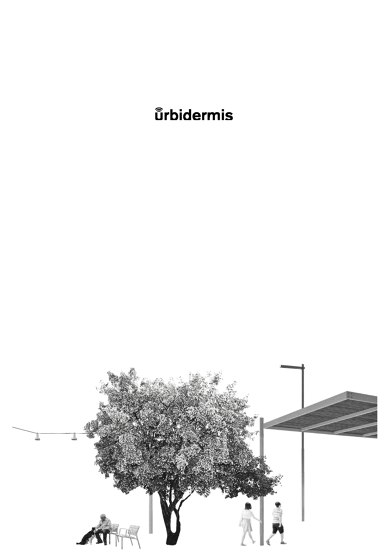 Brochure Projects