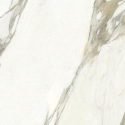 Calacatta Gold 1
