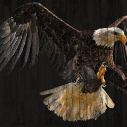 Atelier 47 | Wallpaper DD118185 Polygoneagle1 | Wall coverings / wallpapers | Architects Paper