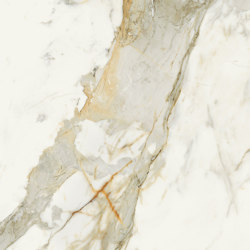 Scultorea | Calacatta Vena Antica 80x80 | Ceramic tiles | Marca Corona
